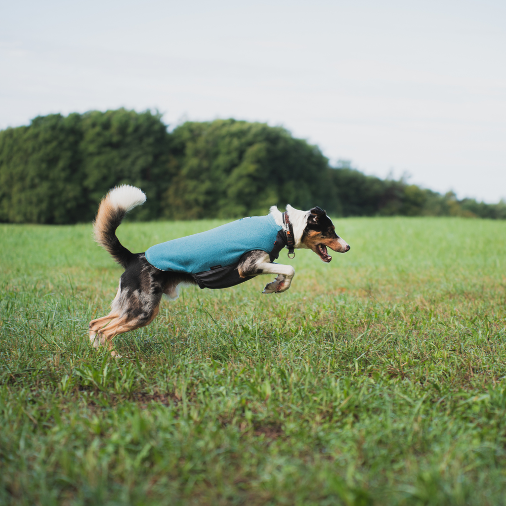 Non-Stop Dogwear Trail Quest Fleece Pullover