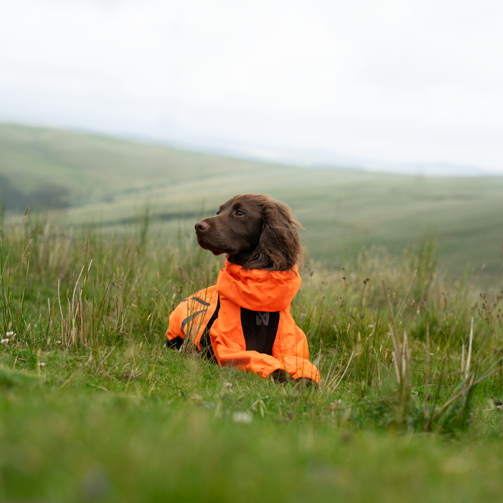 Non-Stop Dogwear Fjord Overall Regenjas
