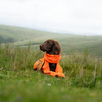 Non-Stop Dogwear Fjord Overall Regenjas