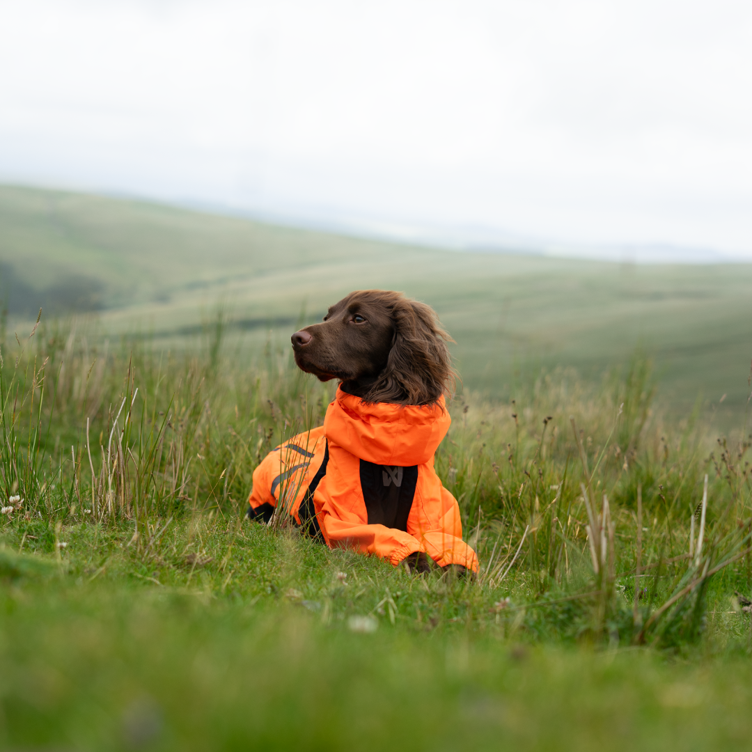 Non-Stop Dogwear Fjord Overall Regenjas