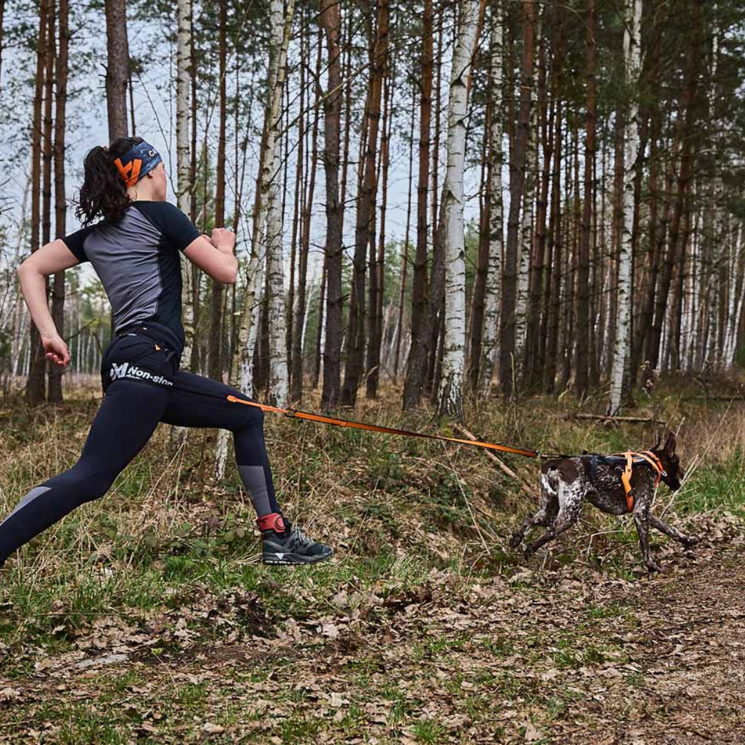 Non-Stop Dogwear CaniX Belt Pro
