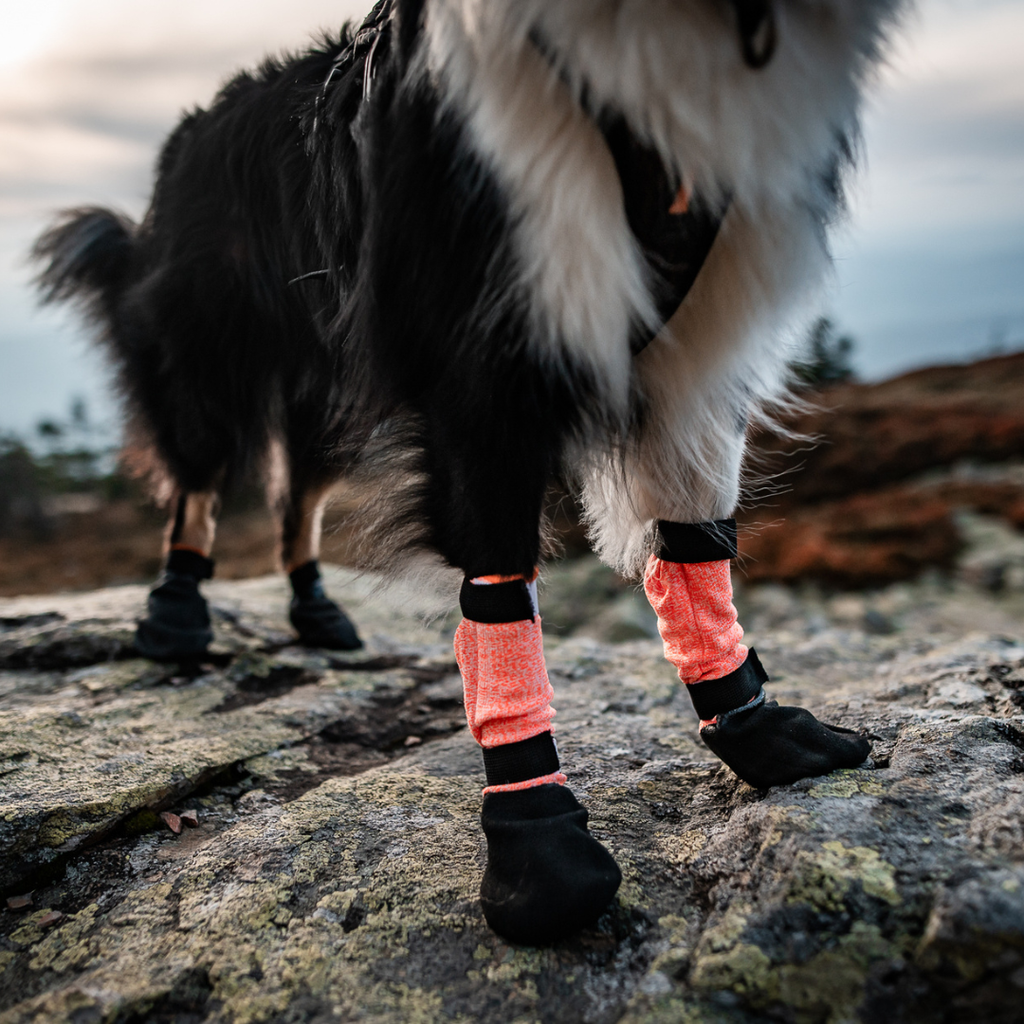 Non-Stop Dogwear Protector Bootie High (juego de 4)
