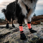 Non-Stop Dogwear Protector Bootie High (juego de 4)