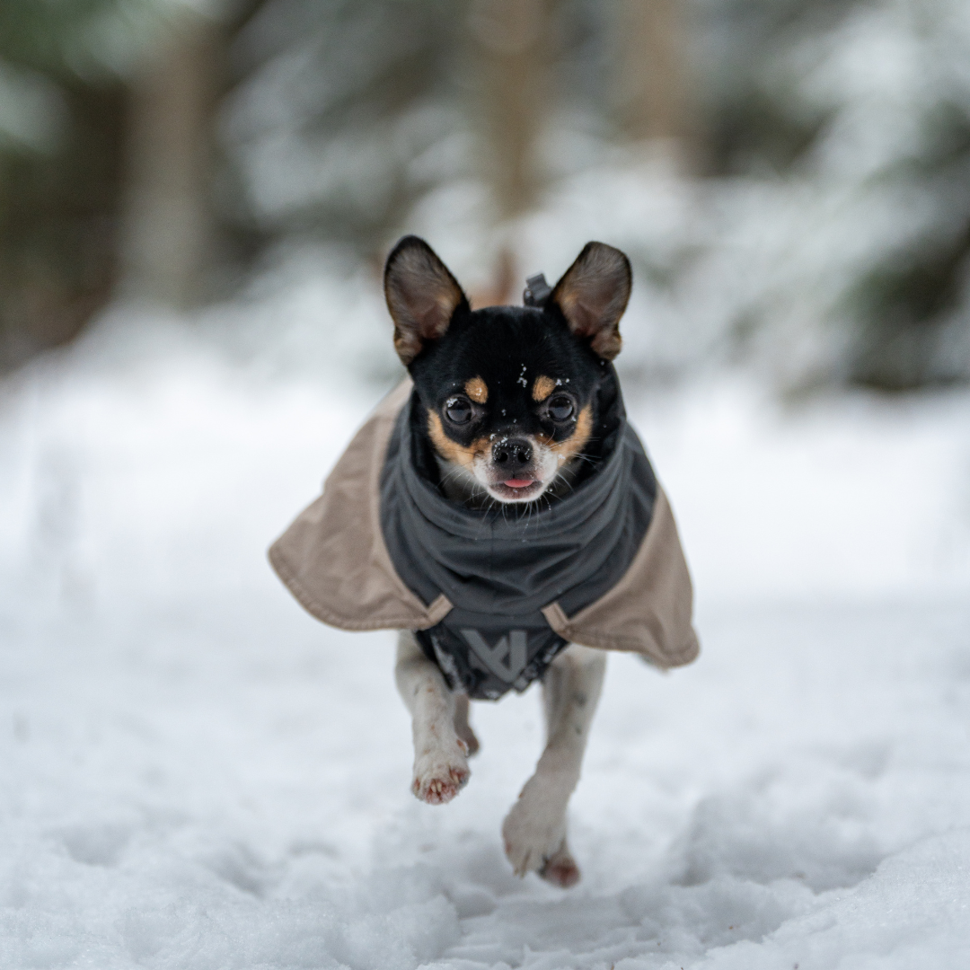 Non-Stop Dogwear Glacier Wool Jacket 3.0