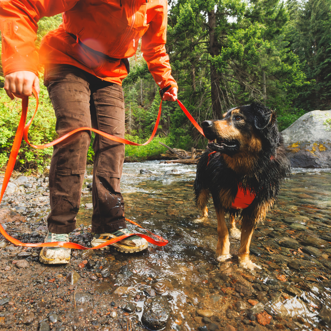 Ruffwear Rogue Long Line