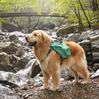 Non-stop Dogwear Trail Light Dog Backpack