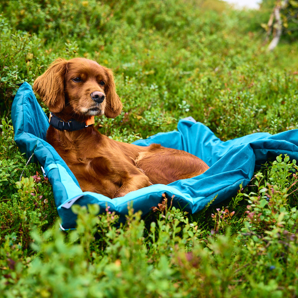Non-Stop Dogwear Trekking Dog Bed