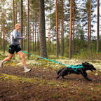 Non-stop Dogwear Bungee leash
