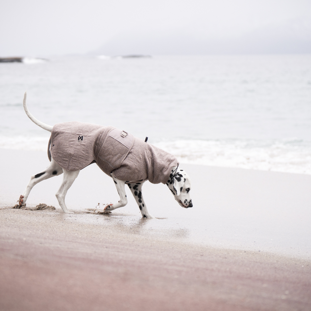 Non-Stop Dogwear Drying Coat