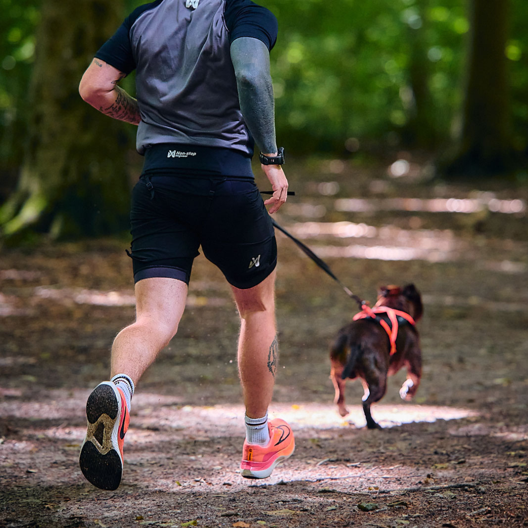 Non-Stop Dogwear Rush Belt