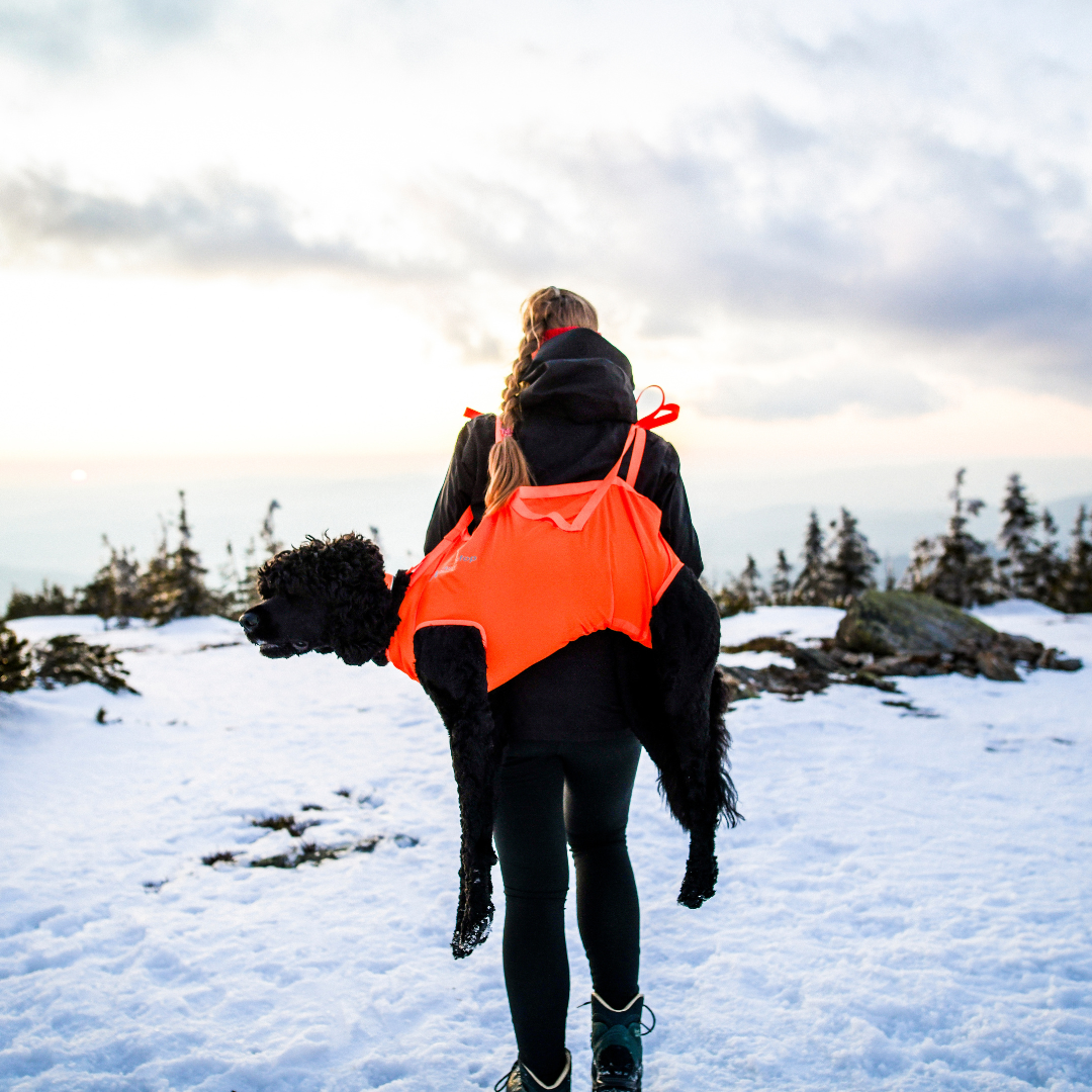 Non-Stop Dogwear Dog Rescue Sling