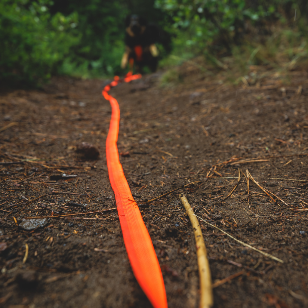 Ruffwear Rogue Long Line