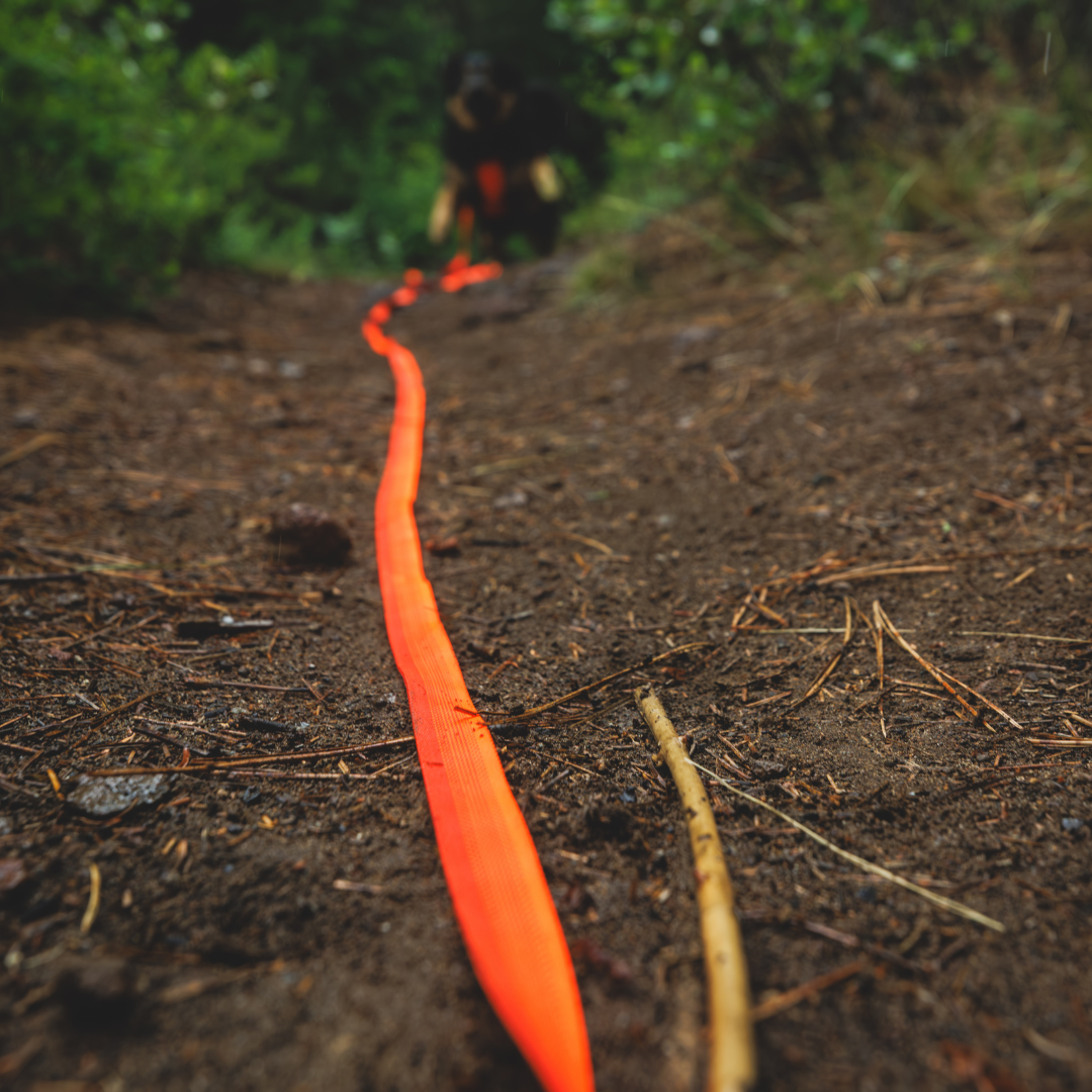 Ruffwear Rogue Long Line