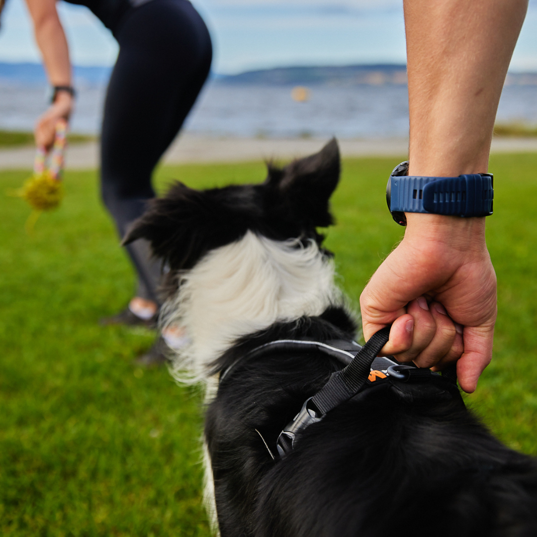 Non-Stop Dogwear Line Harness Grip