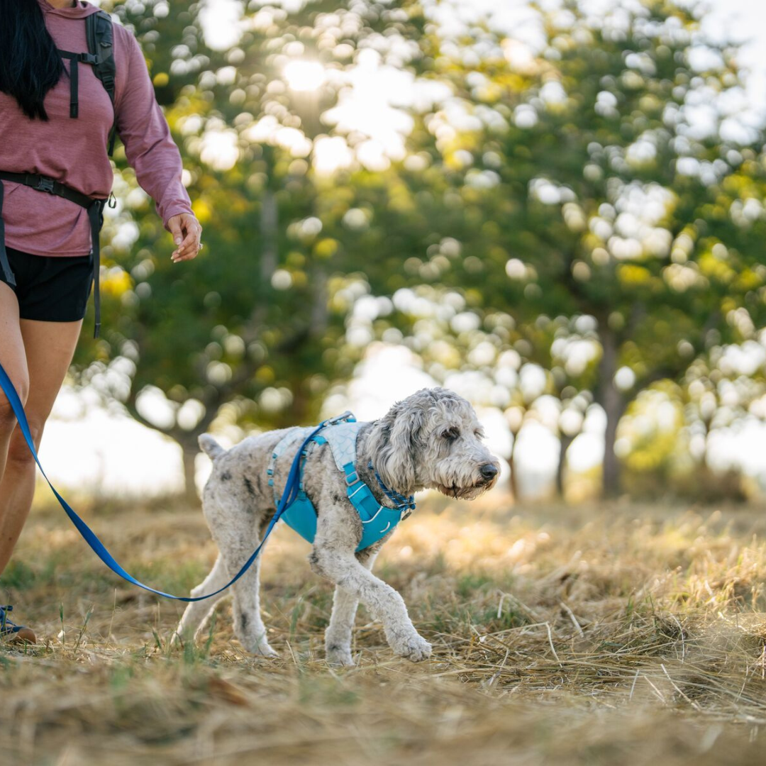 Ruffwear Swamp Cooler Neck Gaiter