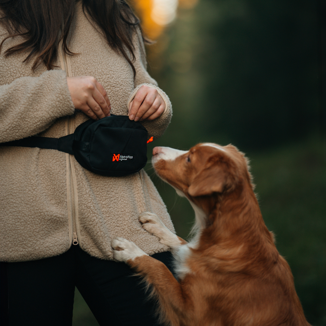 Non-stop Dogwear Trail Quest Fanny Pack