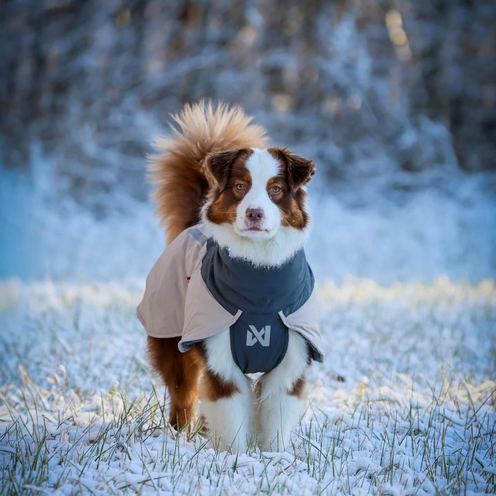 Non-Stop Dogwear Glacier Wool Jacket 3.0