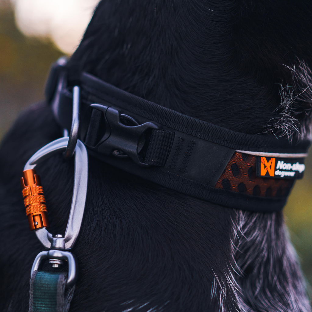 Non-Stop Dogwear Adjustable Rock Collar