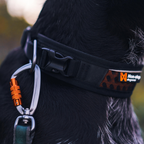 Non-Stop Dogwear Adjustable Rock Collar