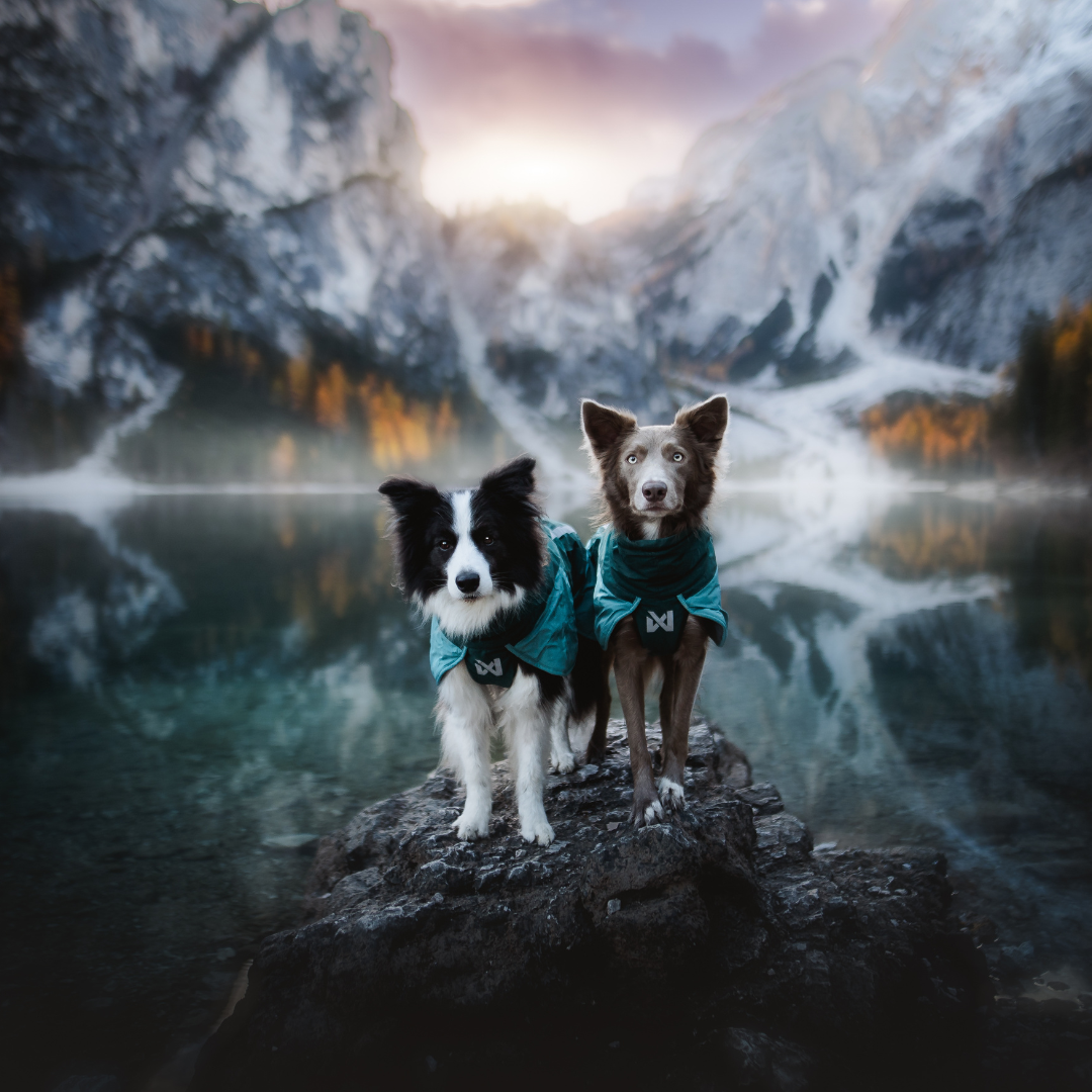 Non-Stop Dogwear Glacier Jacket 3.0