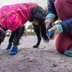 Ruffwear Hi & Light™ Botines ligeros (juego de 2)