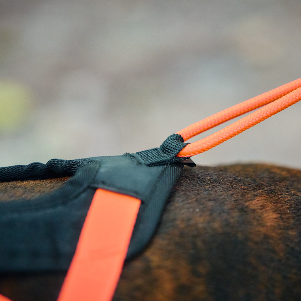 Non-Stop Dogwear Rush Harness