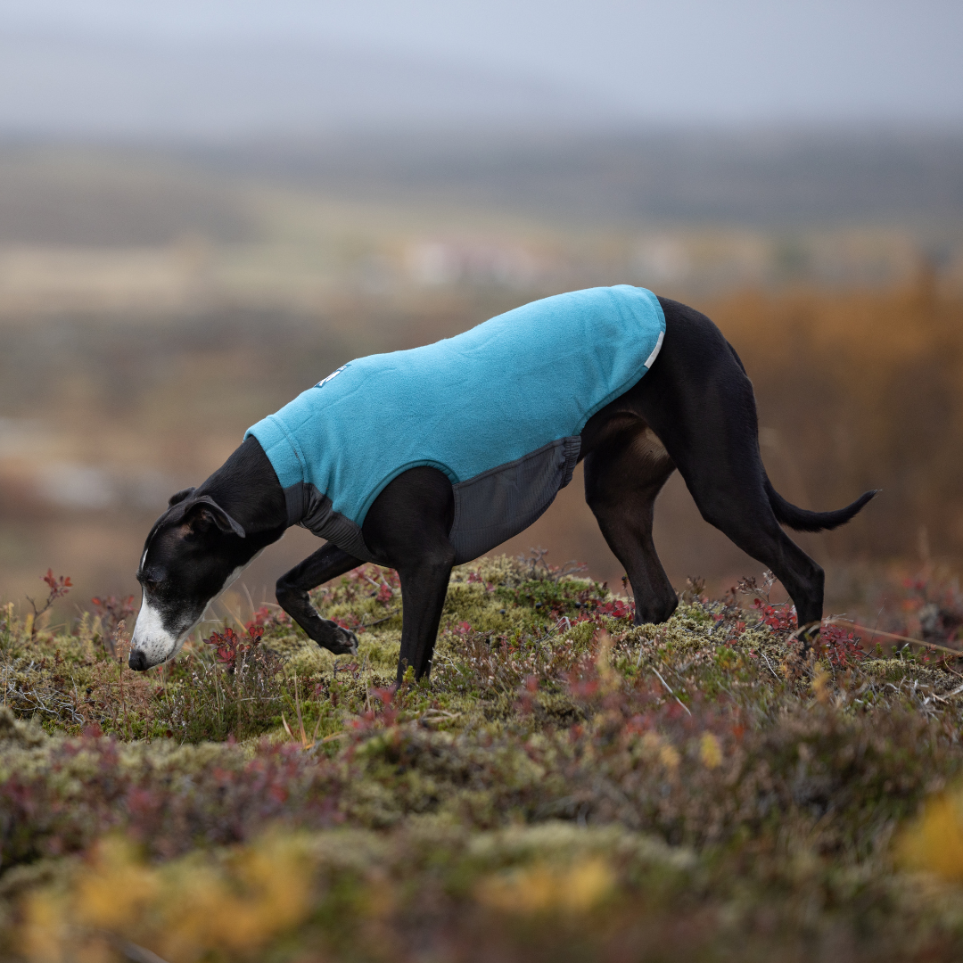 Non-Stop Dogwear Trail Quest Fleece Pullover