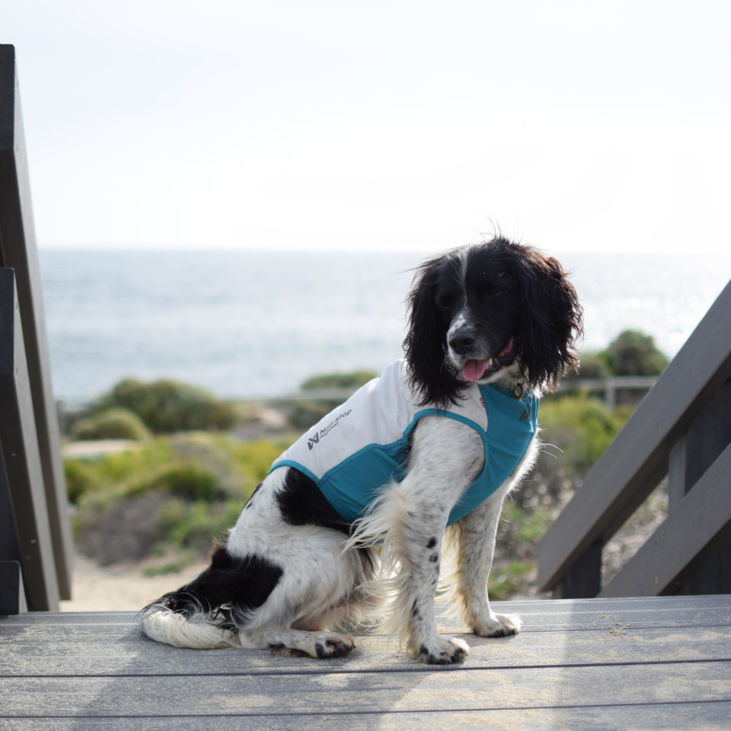 Non-Stop Dogwear Cooling Pull-on Vest