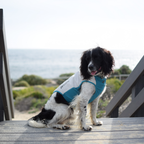 Non-Stop Dogwear Cooling Pull-on Vest