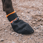Non-Stop Dogwear Protector Bootie (juego de 4)