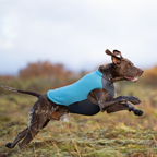 Non-Stop Dogwear Trail Quest Fleece Pullover