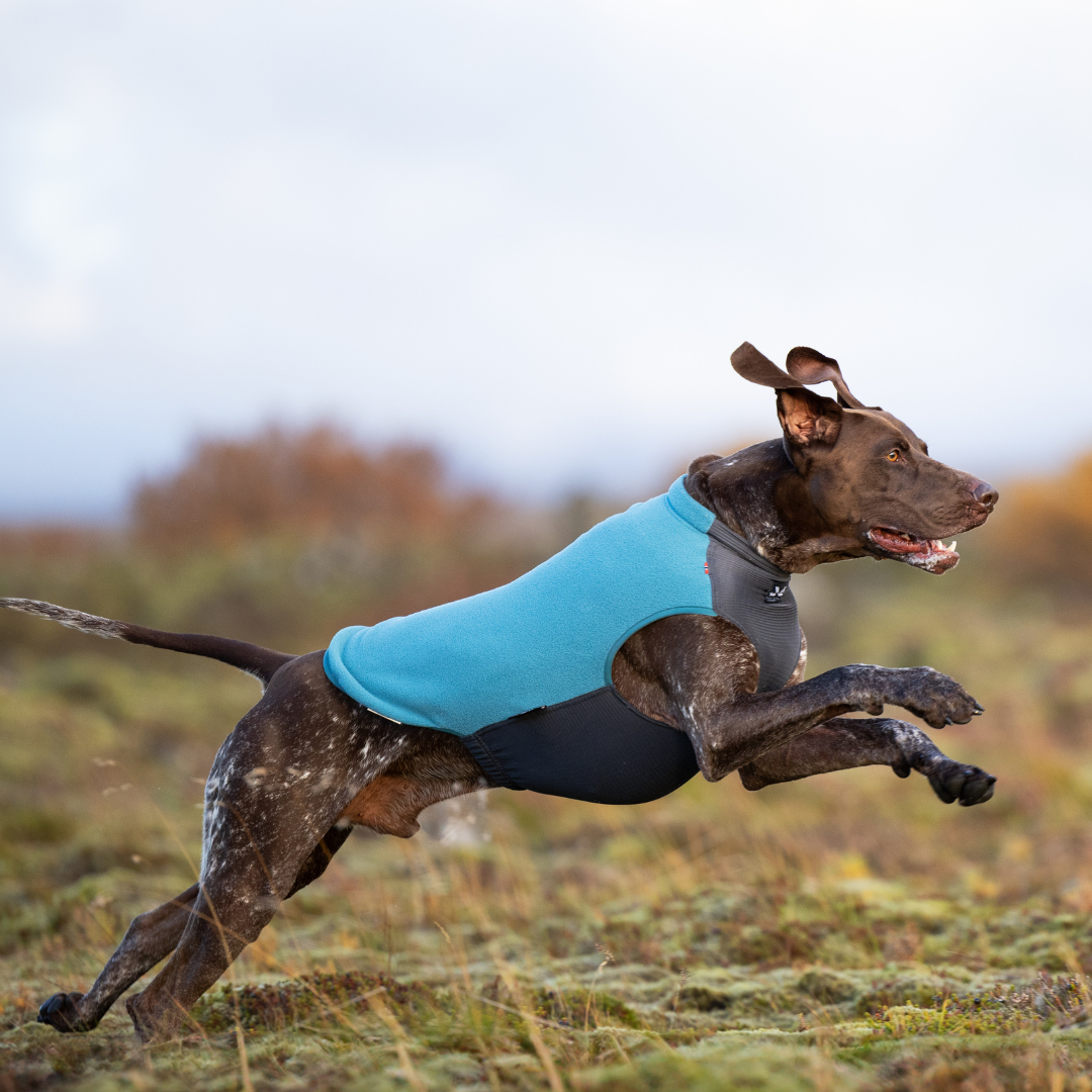 Non-Stop Dogwear Trail Quest Fleece Pullover