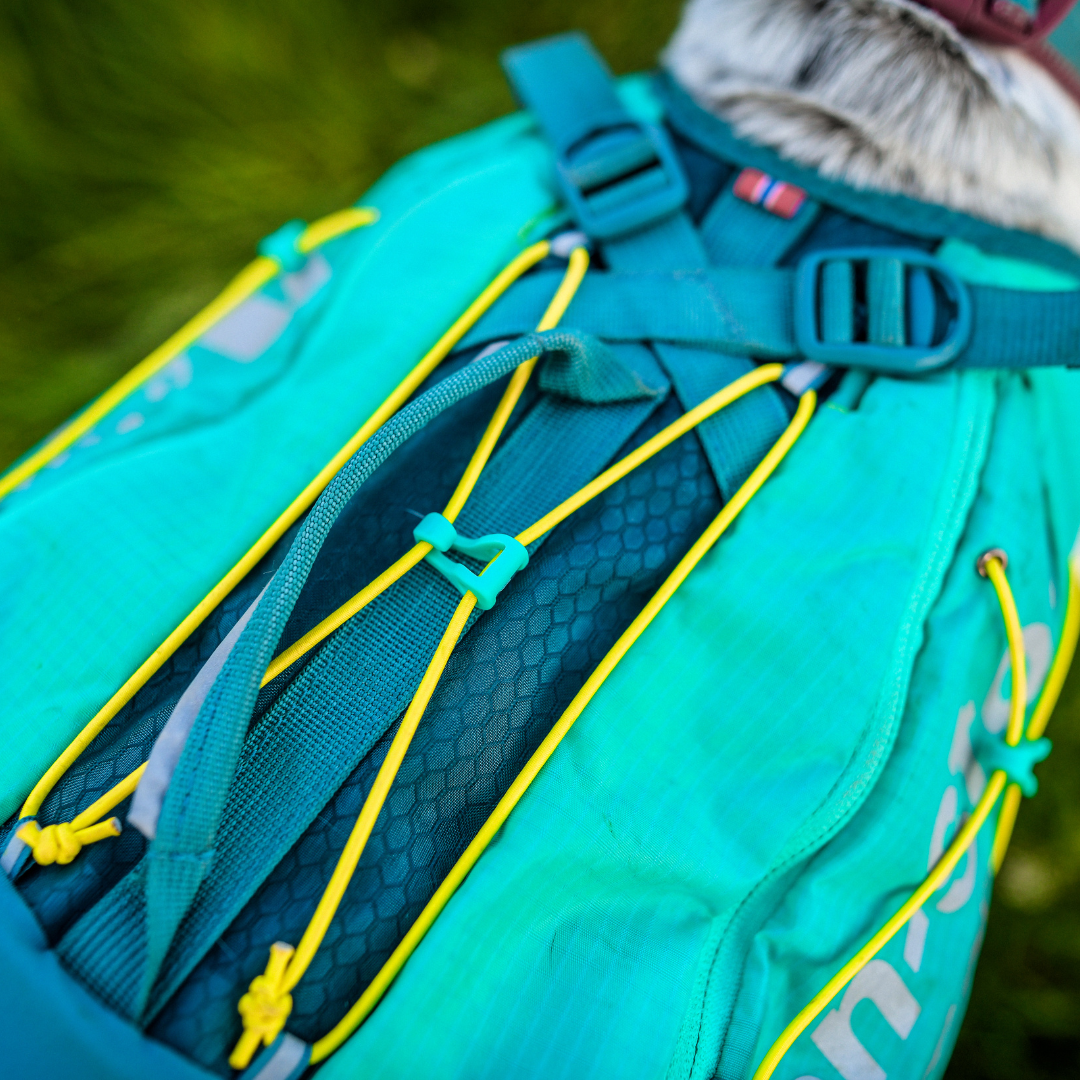 Non-stop Dogwear Trail Light Dog Backpack
