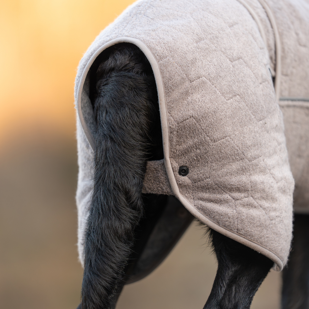 Non-Stop Dogwear Drying Coat