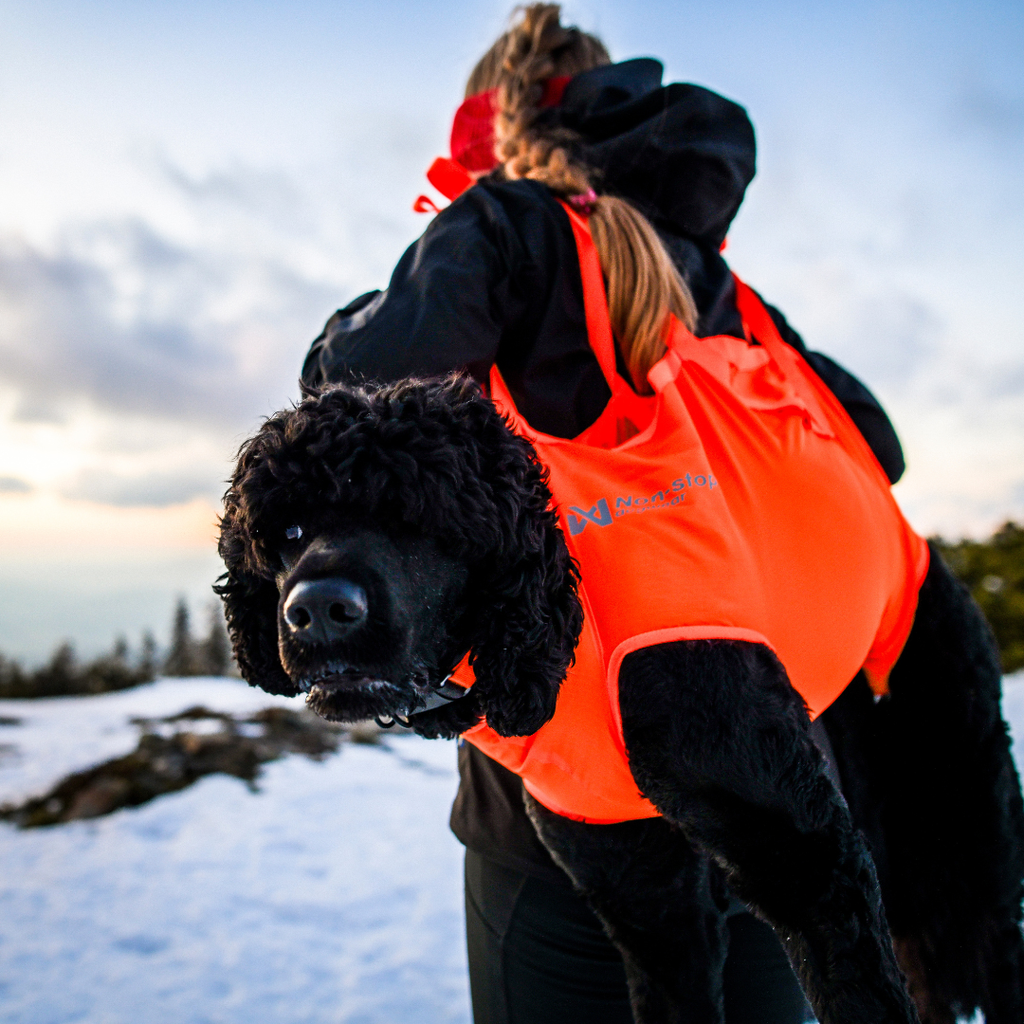 Non-Stop Dogwear Dog Rescue Sling