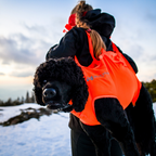 Non-Stop Dogwear Dog Rescue Sling