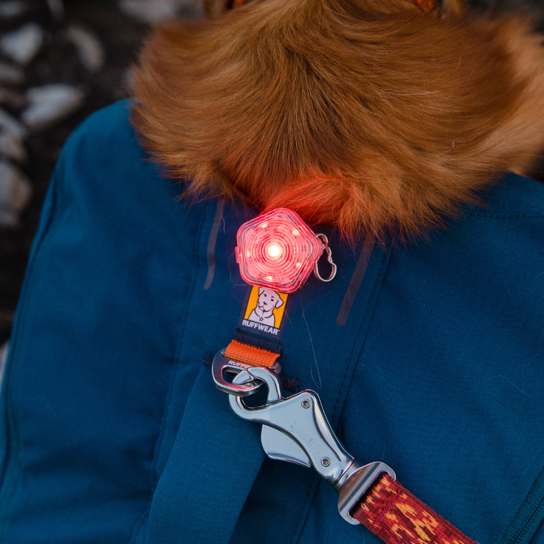Ruffwear Beacon Luz de Seguridad