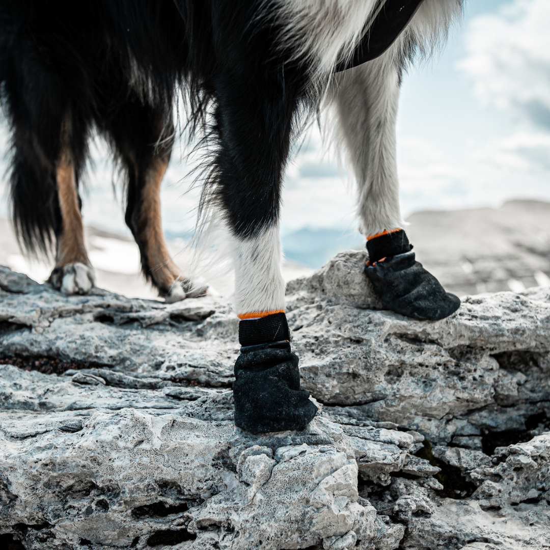 Non-Stop Dogwear Protector Bootie (juego de 4)