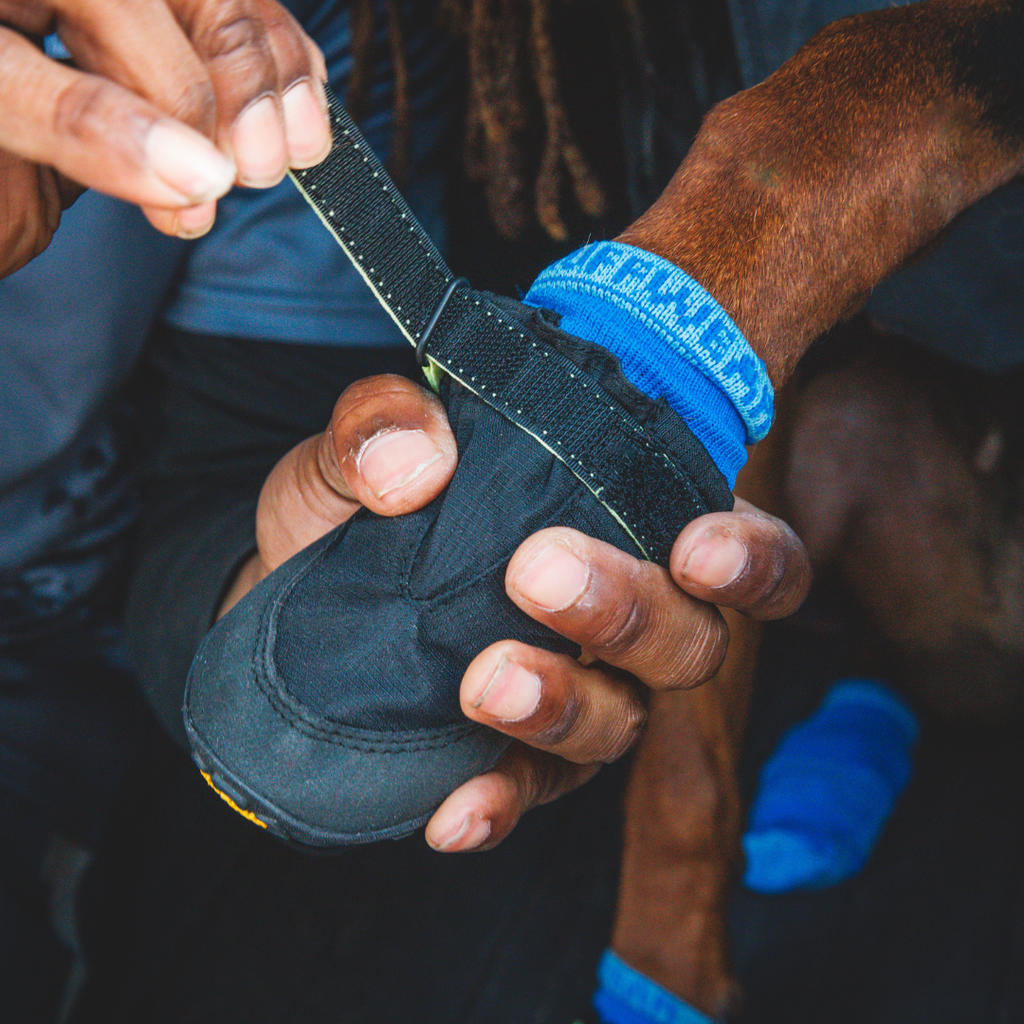 Ruffwear Botines Summit Trex™ (juego de 2)