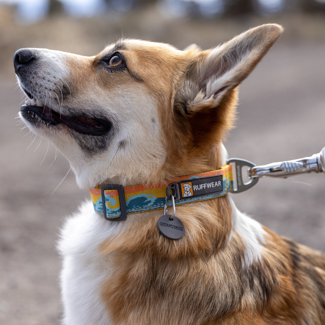 Ruffwear Collar Crag™ reflectante