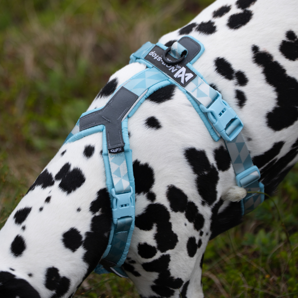 Non-Stop Dogwear Trekking Line Harness CLIP'N