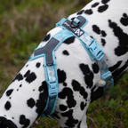 Non-Stop Dogwear Trekking Line Harness CLIP'N