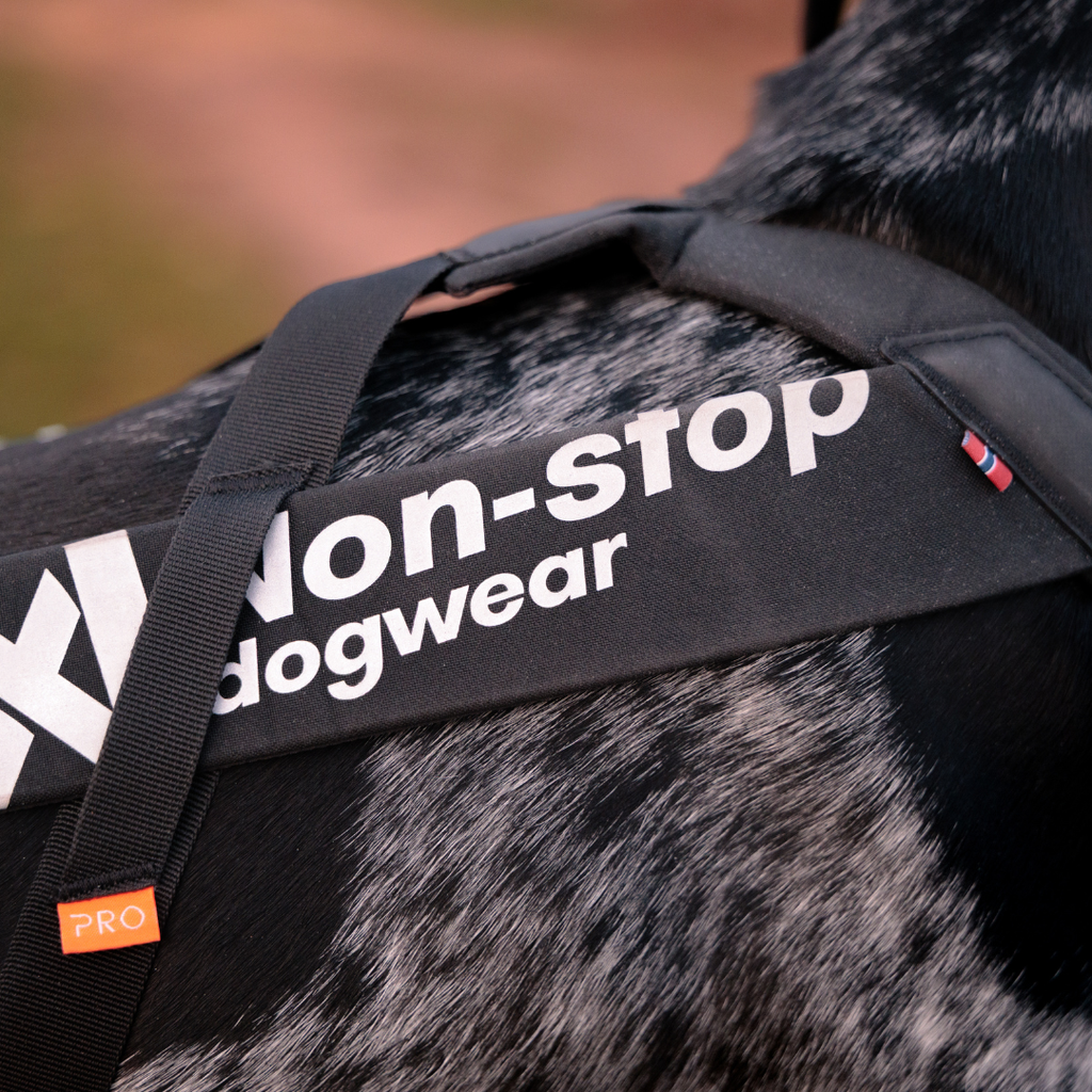 Non-Stop Dogwear Freemotion Harness Pro