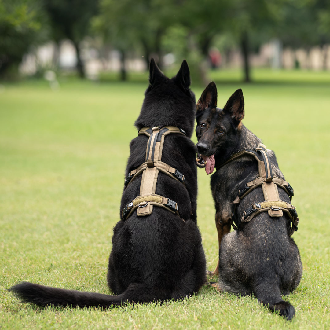 Non-stop Dogwear Line Harness Long WD