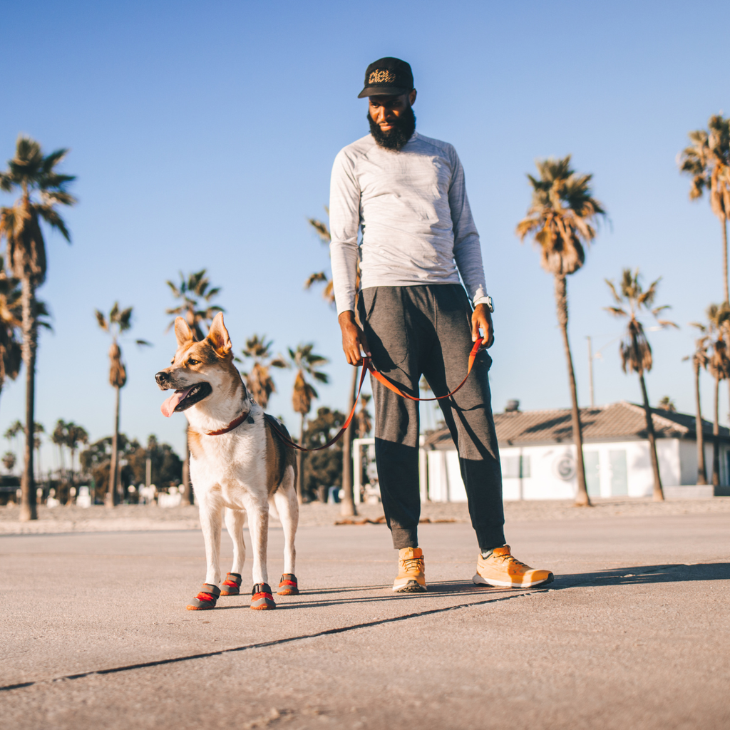 Ruffwear Botines Grip Trex™ (juego de 2)