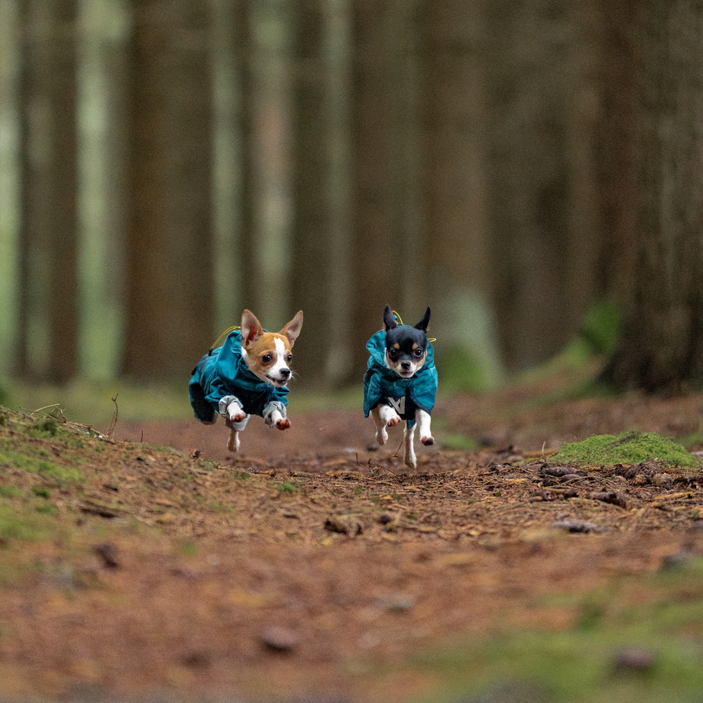 Non-Stop Dogwear Fjord Overall Regenjas