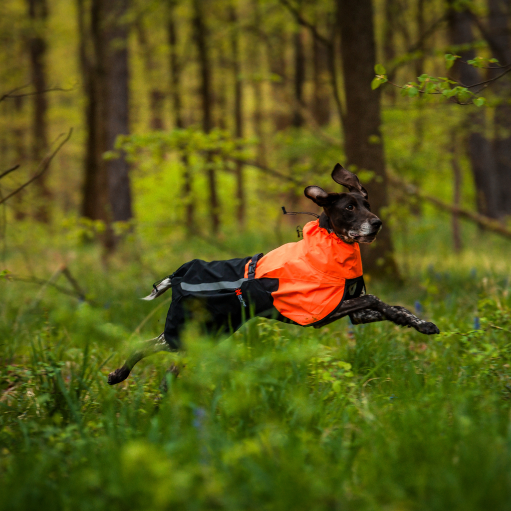 Non-Stop Dogwear Fjord Raincoat 2.0