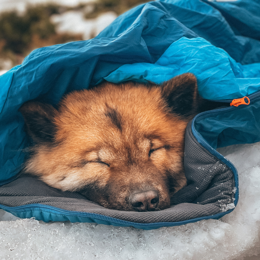Non-Stop Dogwear Ly Sleeping Bag