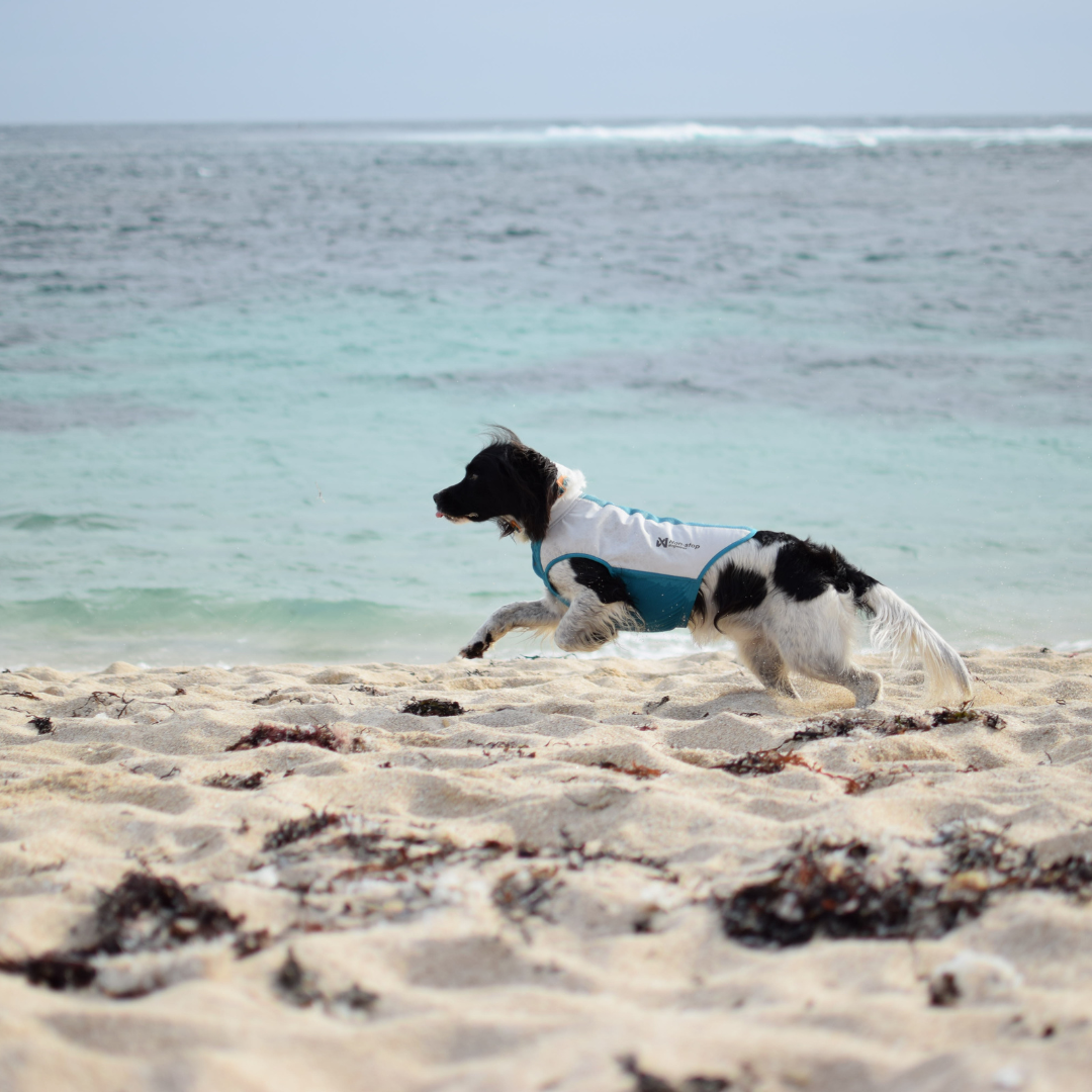 Non-Stop Dogwear Cooling Pull-on Vest