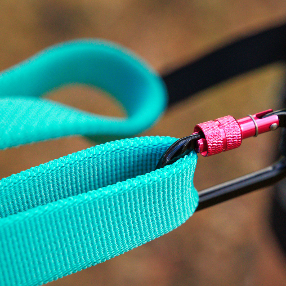Non-stop Dogwear Bungee leash